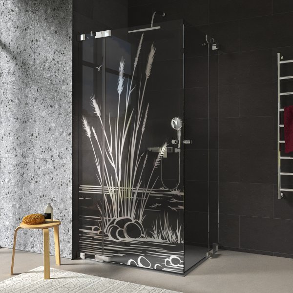 Duschkabine Glas Eckeinstieg mit Motiv SCHILF 209