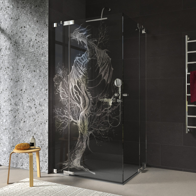 Duschkabine Glas Eckeinstieg mit Motiv DRACHE 209