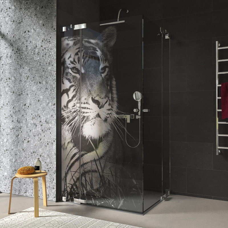 Duschkabine Glas Eckeinstieg TIGER 209