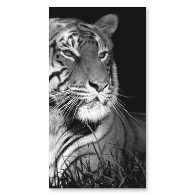 Duschkabine Glas Eckeinstieg TIGER 209