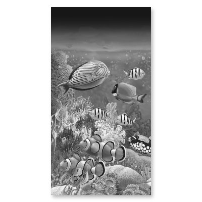 Duschkabine Glas Eckeinstieg mit Motiv FISCHE 3/209
