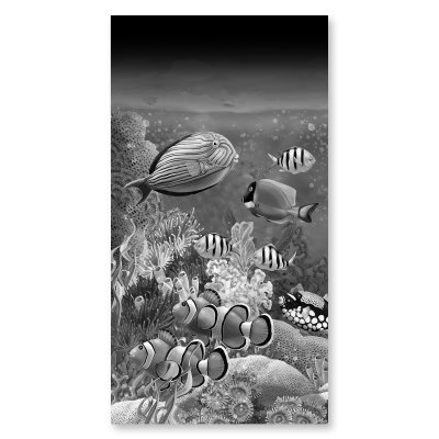 Duschtür Glas mit Motiv FISCHE 3/101