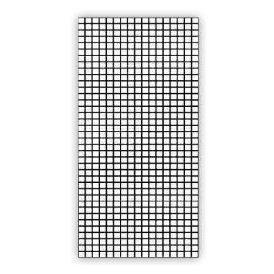 Duschtür Glas mit Satinierung CARRE 2/104