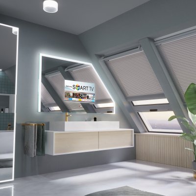 Spiegel mit Fernseher - SANTA CRUZ ECO DS
