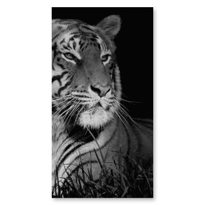 Echtglas Duschtür mit Motiv TIGER 101
