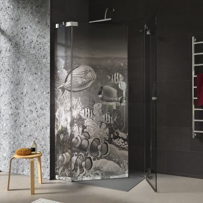 Duschkabine Glas Eckeinstieg mit Motiv FISCHE 3/209
