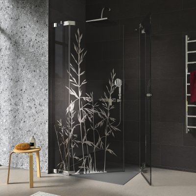 Duschkabine Glas Eckeinstieg mit Motiv GRÄSER 209