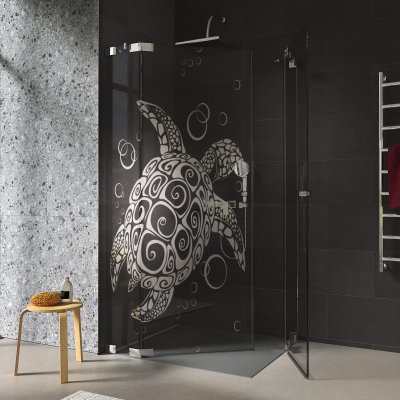 Duschkabine Glas Eckeinstieg mit Motiv SCHILDKRÖTE 209