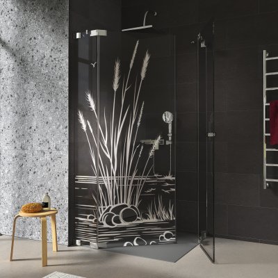 Duschkabine Glas Eckeinstieg mit Motiv SCHILF 209