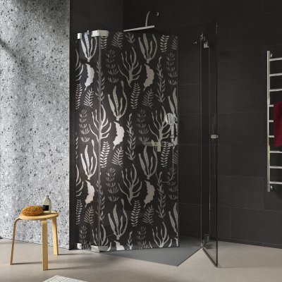 Duschkabine Glas Eckeinstieg mit Motiv SEEGRAS 209