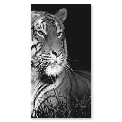 Glas Duschkabine Tür seitlich mit Motiv TIGER 210
