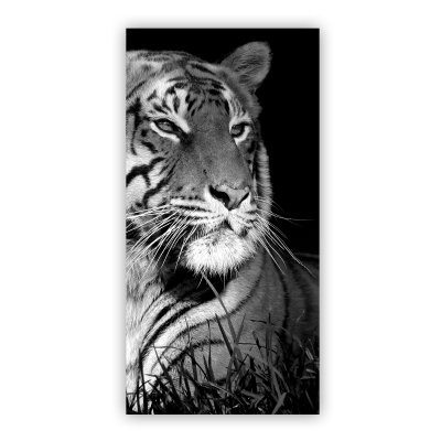 Glas Duschtür auf Maß mit Motiv TIGER 104