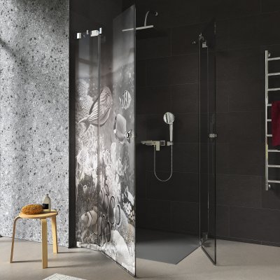Duschkabine Glas Eckeinstieg mit Motiv FISCHE 3/209