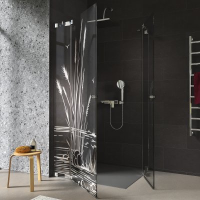 Duschkabine Glas Eckeinstieg mit Motiv SCHILF 209