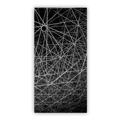 Laser-Design Duschtür aus Glas DESIGN 2/104
