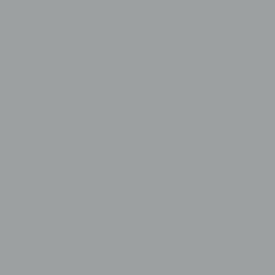 Lackiertes Glas - Metall-Grau / Silber - REF 9006, 4mm