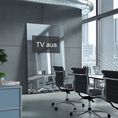 Standspiegel mit Fernseher ECO