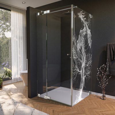 Glas Duschkabine Tür seitlich mit Motiv DRACHE 210